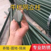 Fence yard sheep raising custom construction vegetable field cattle fence Net Y-shaped column Y-shaped column Y-shaped column enclosure planting vegetable chassis base pasture