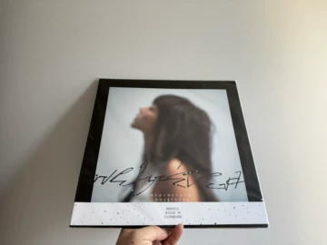 陈绮贞华丽的冒险黑胶-陈绮贞华丽的冒险黑胶促销价格、陈绮贞华丽的