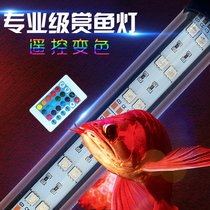 Remote control color-changing fish tank diving light LED fish tank light lighting aquarium landscaping light Waterproof colorful color enhancement lamp