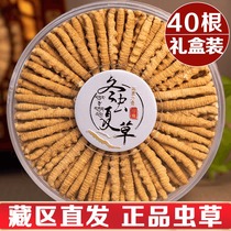 Naqu Cordyceps sinensis 4 Kessi Tibetan Cordyceps dry 40 10 grams gift box flagship store specialty