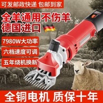 Electric fader for pushing wool electric shearing device goat electric scissors scissors artifact shaving and shearing special machine