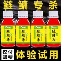 Chain bighead bait small medicine wild fishing black pit fishing chain bighead nest material small medicine silver carp flower carp bait small medicine fish attractant