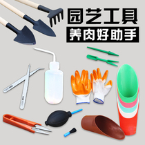 Gardening Succulents tool set Succulents Balcony Flower watering pot Shovel Shovel Hoe Mini three-piece set