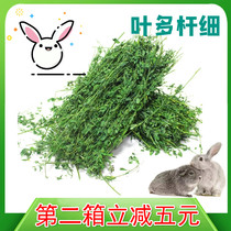 2021 dried alfalfa rabbit ChinChin grain high quality hay Dutch pig forage grass grain gross weight 1KG