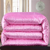 Fuanna 100% mulberry silk winter quilt 6 8 10 Thickened Warm Single Double Air Conditioning Quilt Core by Spring and Autumn