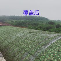Anti-aerial photography camouflage net camouflage net sunshade net outdoor sunscreen insulation encryption thickened defense Star anti-counterfeiting network