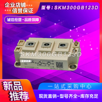 SKM100GB12T4 128D 150GB123D 200GB123D 400GB12T4 125D module