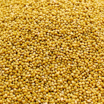 Parrot grain shelled yellow millet bird food bird food feed tiger skin peony xuanfeng horizontal class shelled millet