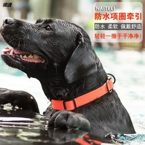 Dog collar waterproof pet supplies cat dog collar collar collar collar medium-sized dog golden hairy side collar collar hoop