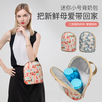 Back milk bag Breast milk insulation bag Equipment refrigerated work portable mini small bottle set Blue ice milk storage ice bag