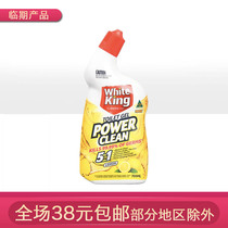 White King Australia imported 700ml of strong sterilization toilet cleaning liquid lemon scented urine deodorant