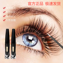 Oriental cosmetics Sunrise Allure City (eyelash nutrient solution) eyelash nourishing essence growth liquid for men and women