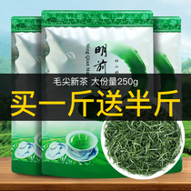 (Full a Jin to send half a catty) Maojian 2021 new tea Xinyang original green tea thick flavor bulk 250g