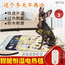 Pet Electric Blanket Dog Heating Pad Waterproof Anti-Earth Leakage Small Kitty Warmer Thermostatic Electric Bedding Sub Dog Supplies