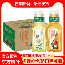 Nongfu Spring Oriental Leaf 0 Sugar Tea Beverage Jasmine Osmanthus Oolong Tea Sugar Free Tea 335ml * 15 Small Bottle