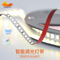 Flying era intelligent LED low pressure light with light strip Line light without main light living room TV background wall without strobe