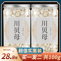 High quality sulfur-free Sichuan 100g Fritillaria Chinese medicine official flagship store authentic wild special grade Sichuan shellfish