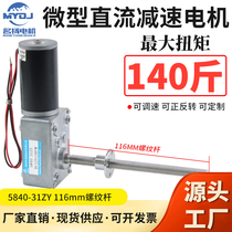 DC gear motor 24v12v worm gear and worm 31ZY5840 threaded screw long shaft miniature adjustable speed motor