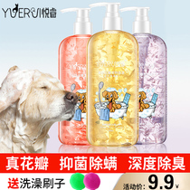 Dog shower gel For pets Teddy Golden retriever Antibacterial acaricide Anti-itching deodorant Bath liquid Shampoo supplies Petal petals