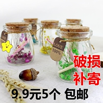 Xiao Xiao Putin Glass Bottle Creative Gift Bottle Wish Bottle Lucky Star Bottle Sugar Decoration Bottle