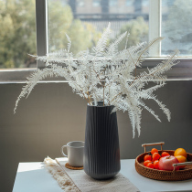 Nordic ins White Osmunda leaves natural dried leaves dried flowers Eternal Flowers diy material keel leaves fern leaves real flowers