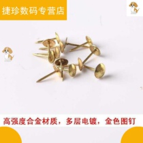 (2 packs) Electroplated extended pushpins metal round heads big nails creative Cork nails wall nails studs