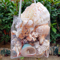 Natural super large conch shell set starfish specimen fish tank landscaping conch shell collection to send students gifts