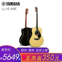 YAMAHA Yamaha LL16 ARE face full veneer LL16D ARE Electric box Folk acoustic guitar LL16D
