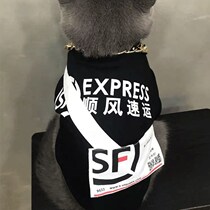 Cat clothes summer spoof fight Teddy small dog cute funny downwind takeaway pet dog dog clothes