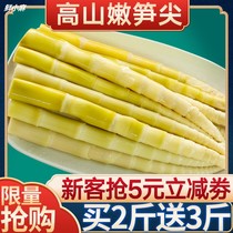 Bamboo Shoots Fresh Vegetables Shoot Tip Wild Small Bamboo Shoots Wholesale Water Bamboo Shoots Spring Shot Bamboo Shoots Jiangxi specialty bamboo shoots