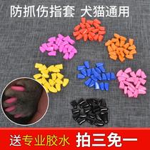 Cat Gloves Claw Cat and Foot Cat Claw Cat Claw Cat Claw Scratch Scratch and Scratch Wash Cat Gloves