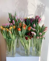 Wake Flowers Bucket Deep Water Light Lavish Acrylic Woke Flowers Bucket Flowers Flowers Plastic Flowers Plastic Home Flower Shop Special Professional Bucket