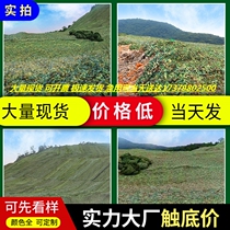 Factory shooting camouflage net cloth Ecological Park Mountain shade net house agricultural green net shed desert camouflage net