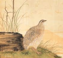 Qing Li Jian painted quail shaft electronic picture decoration spray painting identification copy Chinese painting material