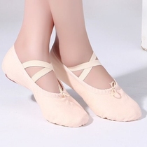 Grade examination meat pink dance shoes womens soft bottom practice adult cat claw shoes canvas body dance Childrens Ballet in