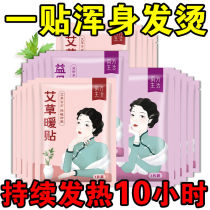 Ahay Motherwort Warm Palace Post Girl Great Aunt student Warm Baby Stick Warm Up to Warm Cold And Warm Sticker