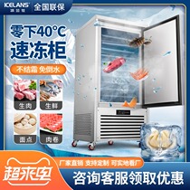 Freezer Minus 40 degrees Commercial low-temperature freezer Bun sea cucumber mousse large-capacity plug-in freezer