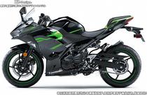 Motorcycle sticker modified Kawasaki EX400 ZX4R NINJA400 whole car waterproof car sticker pull flower 400 Ninja