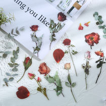 Sale Flowering Period Botanical Flowers Bouquet Rose Sunflower PET Waterproof Transparent Hand Ledger Stickers for Wind Hand Tents Appliqués