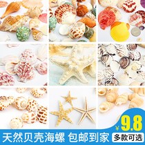 Shell starfish ornaments decoration conch fish tank landscaping crafts handmade diy material childrens natural jewelry