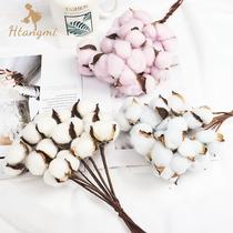 ins natural cotton head dried flower arrangement floral flower arrangement Christmas bouquet diy handmade Bouquet decoration material flower shop