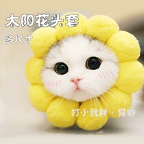 Cat headgear funny decorative hat anti-bite warm cute lion hat birthday cross-over cat headdress pet cat hat