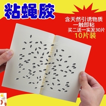 Fly paste comes with bait fly paste fly paper sticky fly paper sticky fly board strong fly killer artifact dip mosquito fly restaurant Home