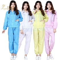 Anti-static split clothing dust-proof clean work clothing split protective spray paint jacket white blue dust-free clothing