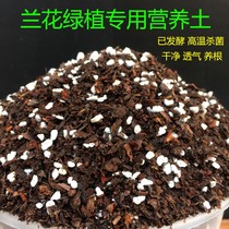 Special soil for orchid soil Soilless cultivation Universal breathable Dendrobium clivia Phalaenopsis pine bark nutrient soil