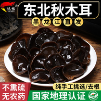 Yunfu black fungus dry goods 500g new goods Heilongjiang non-grade pure wild small Bowl ear basswood autumn northeast specialty