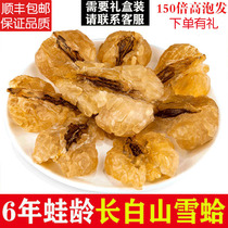 Snow clam Tongrentang premium Jilin frog oil Changbaishan Papaya stewed snow Ha oil ointment flagship store dry goods 25g