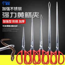 Stainless steel old yellow eel special clip anti-slip and anti-grip small lobster crab mud loach pliers catch-up special clip