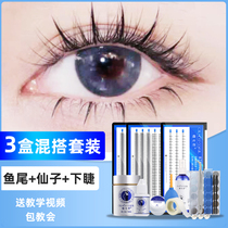 Net red fairy hair self-adhesive false eyelash womens single cluster lasting firm natural simulation grafting eyelash suit to pick up yourself