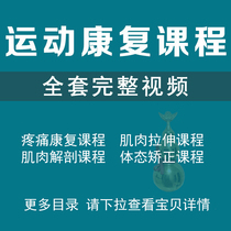 Sports Rehabilitation Teaching Video Tutorial Training Course Gou Wen Qiang Pain Rehabilitation Muscle Stretch Body State Correction